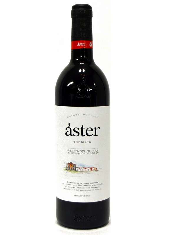 Áster 2021 - 6 Uds.