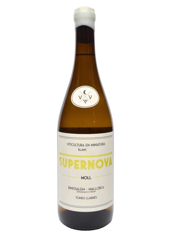 Supernova Moll Blanc