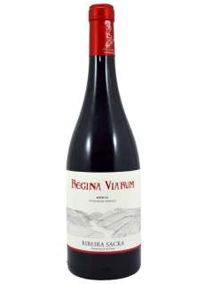 Punaviinit Regina Viarum Mencía 2024 - 3 Uds.