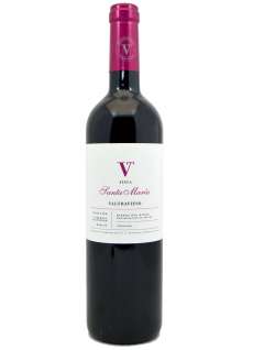 Punaviinit Valtravieso  2020 - 6 Uds.